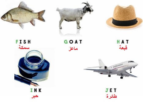 استمع وردد